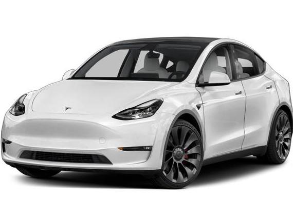 TESLA MODEL Y 2022 7SAYGDEE4NF356487 image
